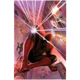 THE AMAZING SPIDER-MAN by ALEX ROSS POSTER