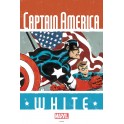 CAPTAIN AMERICA WHITE 2 by TIM SALE POSTER