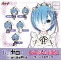 RE:ZERO STARTING LIFE IN ANOTHER WORLD RUBBER STRAPS SET COMPLET
