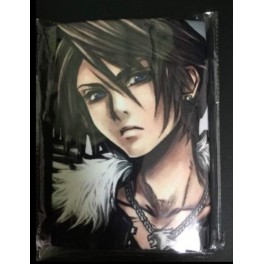 COUVERTURE FINAL FANTASY ALL STARS - SQUALL